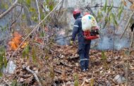 Advierten sobre riesgo de incendios forestales tras detectar 81 puntos de calor en La Guajira