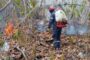 Cómo tomar las riendas de tu vida y ser más proactiva
