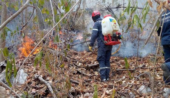 Advierten sobre riesgo de incendios forestales tras detectar 81 puntos de calor en La Guajira