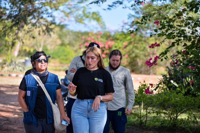El compromiso de producir 500 mil árboles maderables en el Cesar