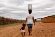 FAO: América Latina ante un panorama 