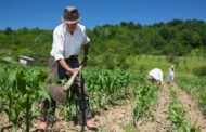 En Valledupar realizarán jornada de información sobre cartera para pequeños y medianos productores