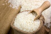 Febrero arranca con una hoja de ruta para fortalecer la producción de arroz