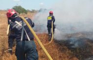 Refuerzan acciones para evitar incendios forestales en La Guajira