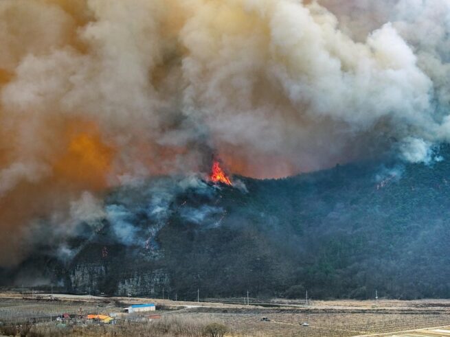 Incendios forestales en Corea del Sur dejan 24 muertos y obligan a evacuar a 27.000 personas