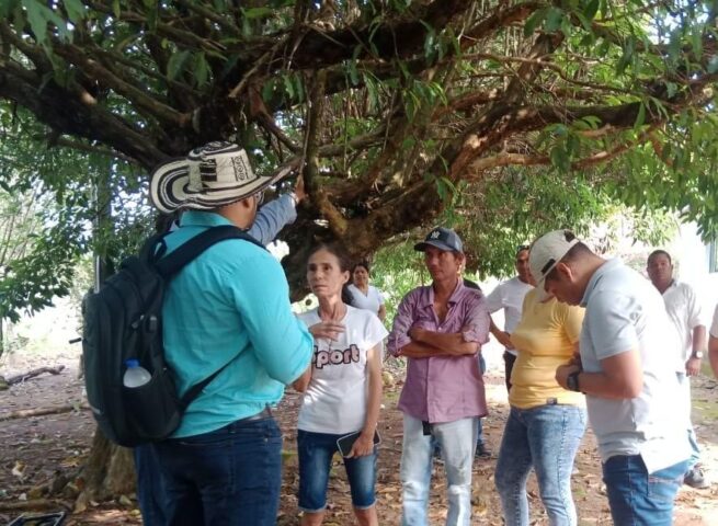Treinta años después, seis hermanos recuperan un predio que abandonaron en el Cesar por temor a las Farc