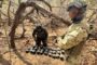 En La Guajira, el Ejército Nacional ubicó y destruyó un depósito de explosivos