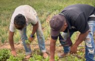 Gobierno Nacional impulsa compras directas a campesinos productores de La Guajira