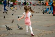 Contralor afirma que los niños y niñas, no pintan claramente en los presupuestos de la Nación, departamentos y municipios