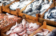 Emiten recomendaciones para consumo de pescado y mariscos en Semana Santa