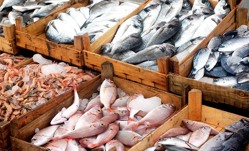 Emiten recomendaciones para consumo de pescado y mariscos en Semana Santa