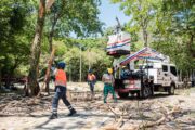 Alcaldía de Valledupar realizó tala controlada de árboles secos y enfermos en Ecoparque del río Guatapurí