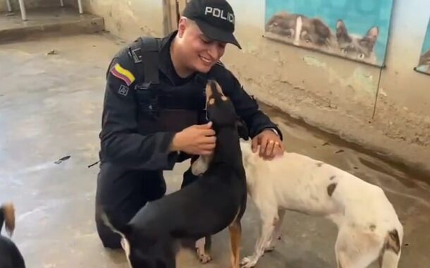 UNDMO de la Policía entregó alimentos a fundación protectora de animales en Valledupar
