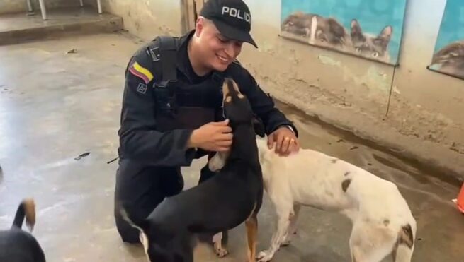 UNDMO de la Policía entregó alimentos a fundación protectora de animales en Valledupar