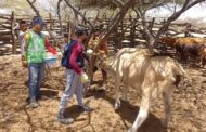 Hacen seguimiento al primer ciclo de vacunación en comunidades indígenas de la Alta Guajira