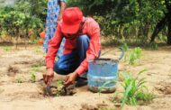 Procuraduría pide ampliar plazo a proyecto de resolución que modifica áreas agrícolas protegidas en La Guajira