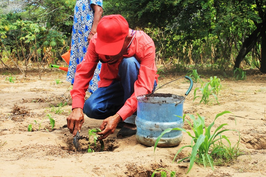 Procuraduría pide ampliar plazo a proyecto de resolución que modifica áreas agrícolas protegidas en La Guajira