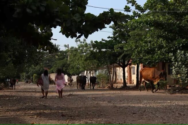 Realizarán audiencia pública sobre el trámite de solicitud de la licencia ambiental del proyecto minero cañaverales (La Guajira)
