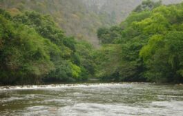 Continúa el proceso de acotamiento de las principales rondas hídricas en la cuenca del río Ranchería