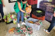 En Río de Oro, Cesar, fortalecen la atención integral a familias campesinas con niños de primera infancia