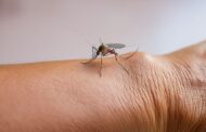 La fiebre amarilla es un brote que alerta sobre la crisis ambiental y sanitaria en el país, afirman expertos
