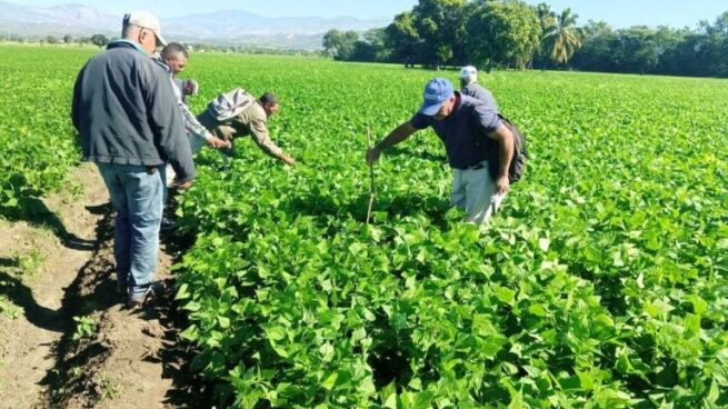 Asignan $ 77.000 millones para cuatro líneas del Fondo de Acceso a Insumos Agropecuarios