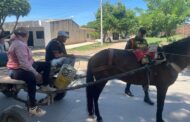 En Valledupar refuerzan controles a vehículos de tracción animal