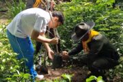 Día Mundial del Medio Ambiente: Policía de Carabineros y Alcaldía siembran vida en el municipio de La Paz