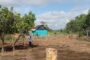 En Cesar y La Guajira, la restitución de tierras presenta balance favorable tras 14 años de Ley 1448