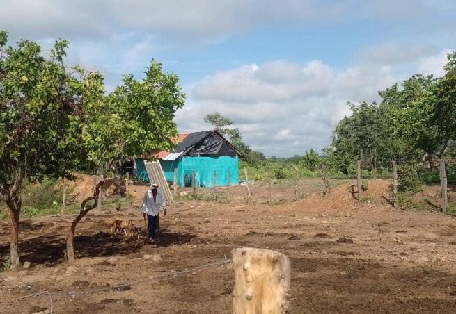 En Cesar y La Guajira, la restitución de tierras presenta balance favorable tras 14 años de Ley 1448