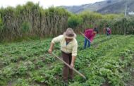 Hay alerta sobre profunda desigualdad que enfrentan las mujeres campesinas y rurales en Colombia