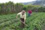 Hay alerta sobre profunda desigualdad que enfrentan las mujeres campesinas y rurales en Colombia