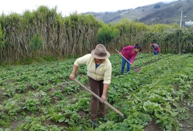 Hay alerta sobre profunda desigualdad que enfrentan las mujeres campesinas y rurales en Colombia