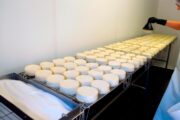 Todo lo que necesitas saber sobre la listeria, la bacteria que puede detectarse en algunos alimentos