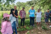 Aunque la muerte los marcó hace 30 años, seis hermanas recuperan hoy su tierra en El Copey (Cesar)