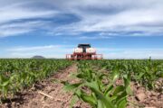 ‘El futuro de nuestros hijos está en la tierra donde cultivamos yuca, plátano y maíz’, dice líder campesina del Cesar
