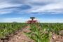 ‘El futuro de nuestros hijos está en la tierra donde cultivamos yuca, plátano y maíz’, dice líder campesina del Cesar