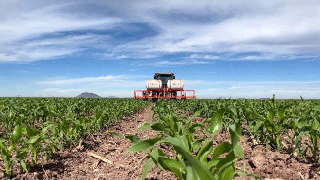 ‘El futuro de nuestros hijos está en la tierra donde cultivamos yuca, plátano y maíz’, dice líder campesina del Cesar
