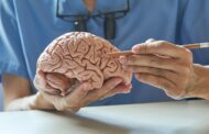 ¿La inteligencia artificial está atrofiando nuestro cerebro? Varios expertos nos responden