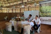 Con Agroemprende Cacao, Embajada de Canadá, Gobierno del Cesar y Socodevi ratifican compromiso con el desarrollo rural