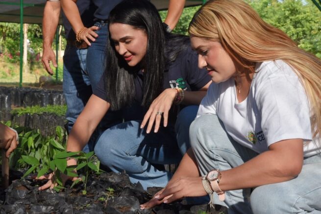 Desde el Vivero Departamental se atiende el Corredor de la Vida en Cesar