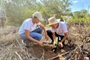 Corpocesar, en jornada de siembra de árboles nativos en la cuenca del río Guatapurí