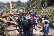 Más de 77 mil personas han sido víctimas de desplazamiento forzado en Colombia durante 2025