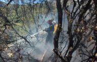 Hay alerta sobre alta probabilidad de incendios forestales en La Guajira