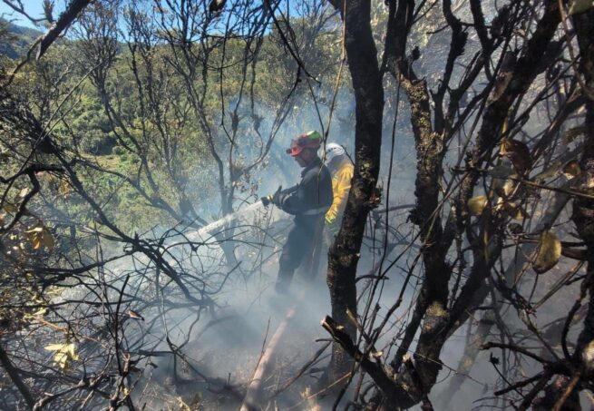 Hay alerta sobre alta probabilidad de incendios forestales en La Guajira