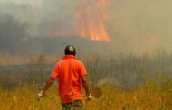 Susceptibilidad a la amenaza por incendios forestales en La Guajira