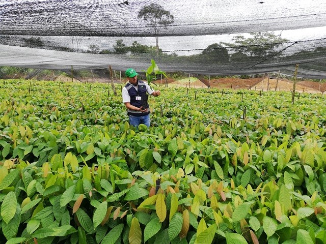El ICA fortalece la sanidad vegetal en La Guajira