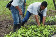 Llegarán recursos para apalancar proyectos productivos de comunidades indígenas