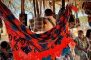 Más de 30.000 familias wayúu fortalecen su economía y autosostenibilidad en La Guajira