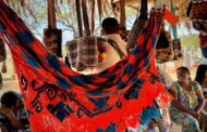 Más de 30.000 familias wayúu fortalecen su economía y autosostenibilidad en La Guajira